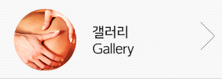 갤러리